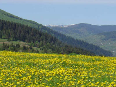 Карпаты весной