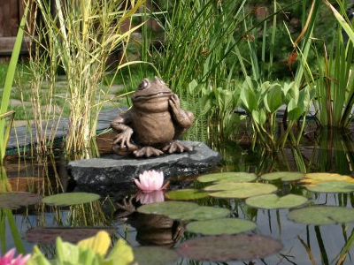 Ландшафтный дизайн